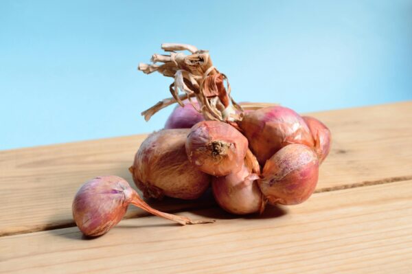 Brown Onions