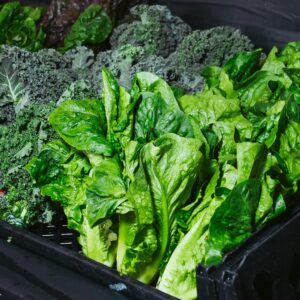 Green Vegetable on Black Plastic Container