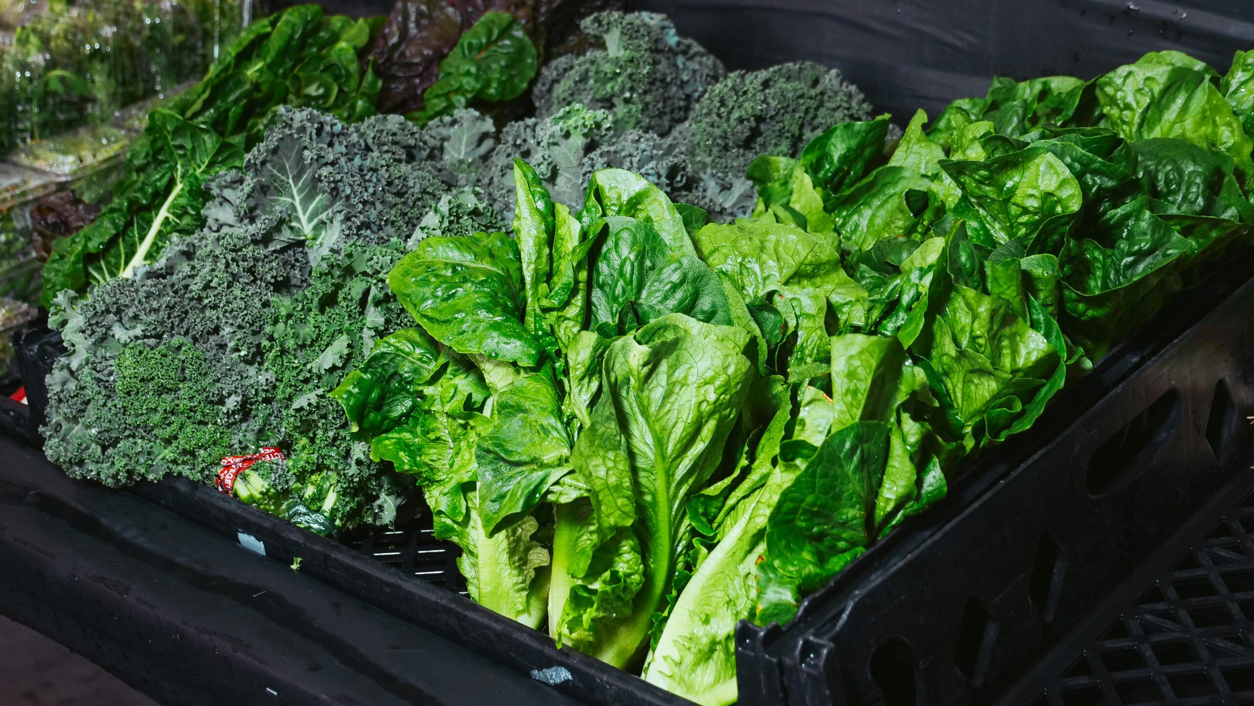 Green Vegetable on Black Plastic Container